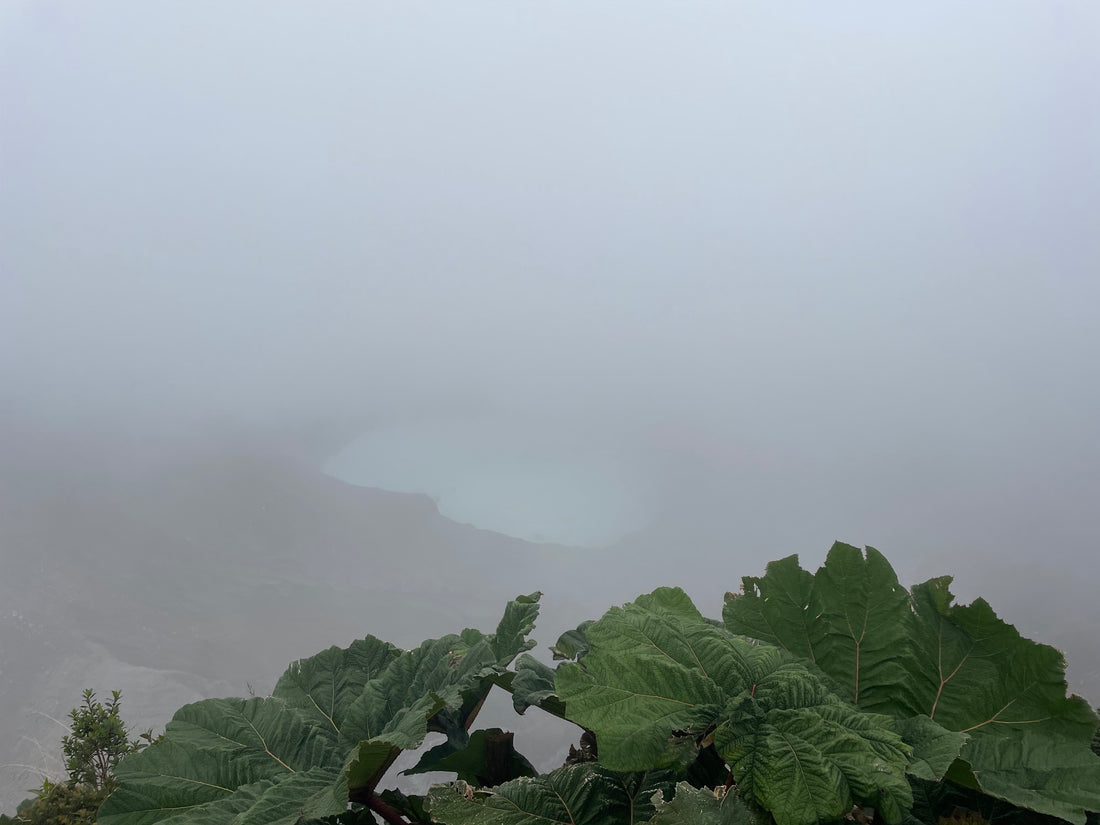 The Art of Crafting a Premium Artisanal Espresso Blend