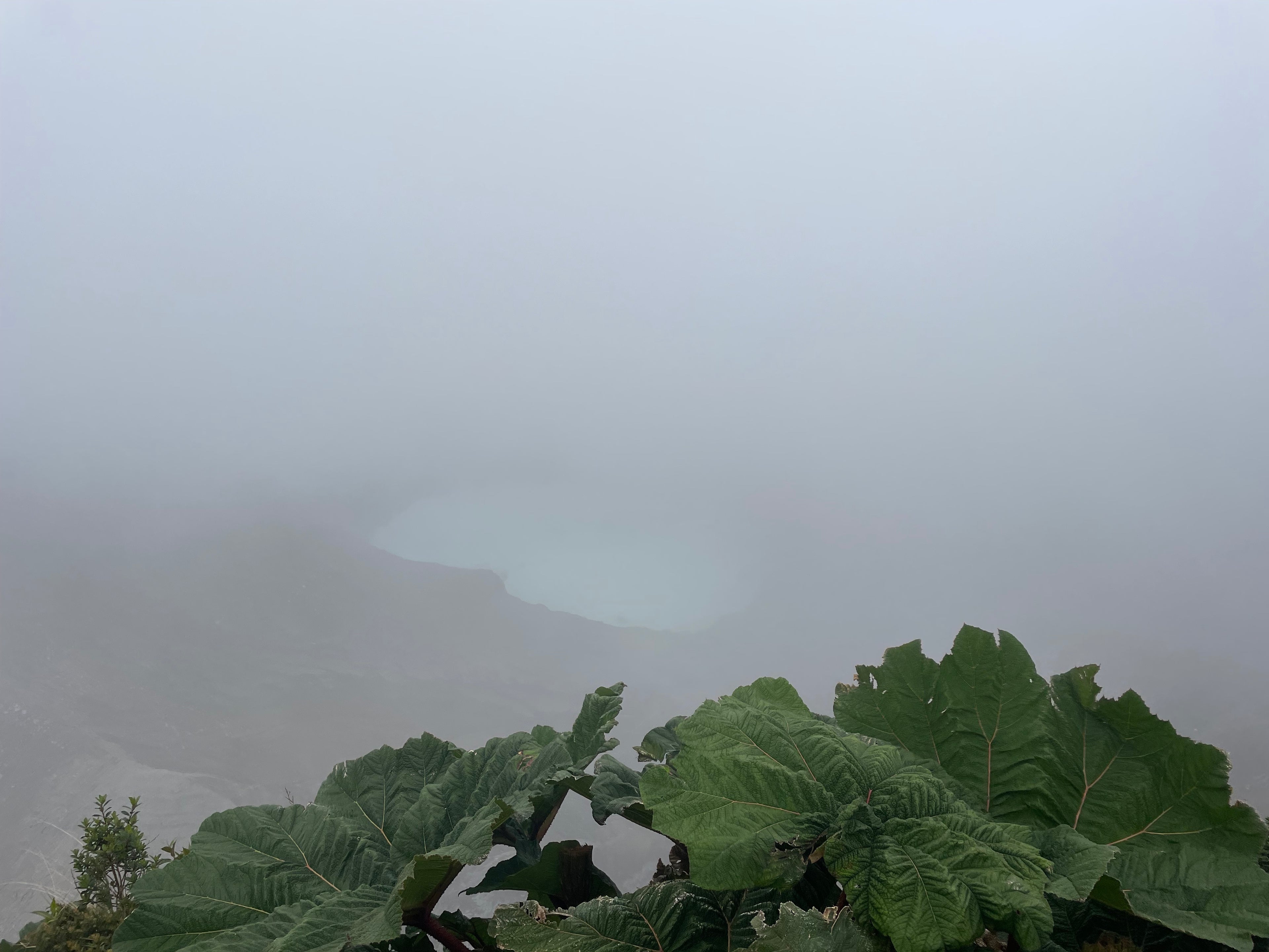 The Art of Crafting a Premium Artisanal Espresso Blend