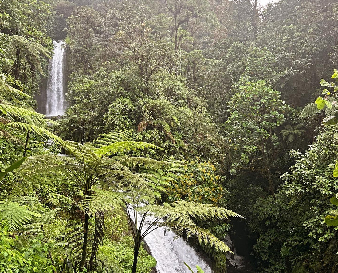 Travel to Costa Rica: A Comprehensive Guide for Adventurers