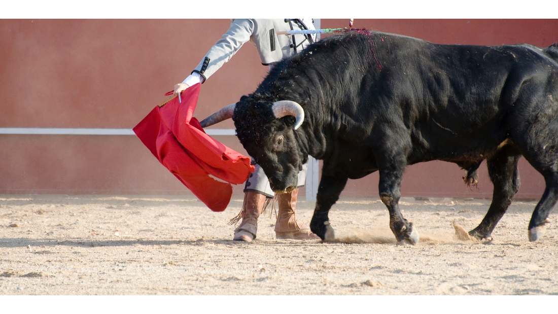 The Pulse-Pounding Tradition of the Running of the Bulls in Pamplona
